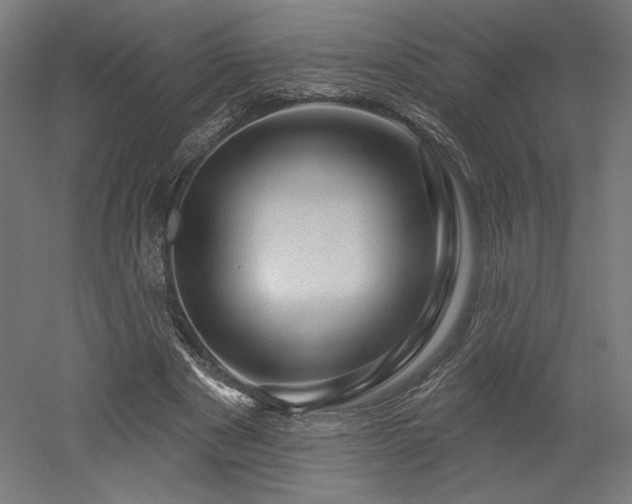 X0000052640489200507011350