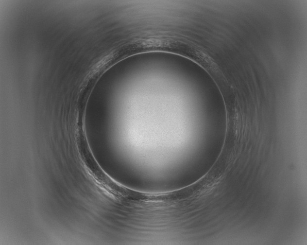 X0000052640490200507011350