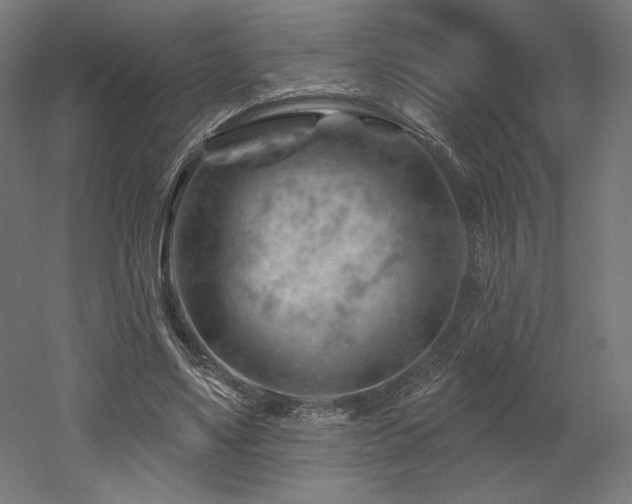 X0000052640491200507011350