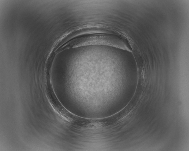 X0000052640492200507011350