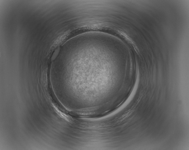 X0000052640493200507011350