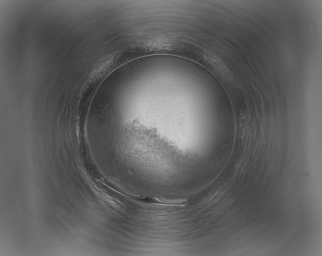 X0000052640494200507011350