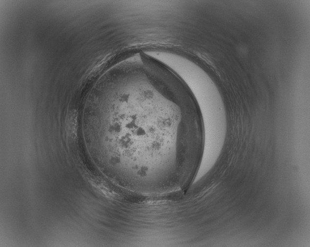 X0000052640495200507011350