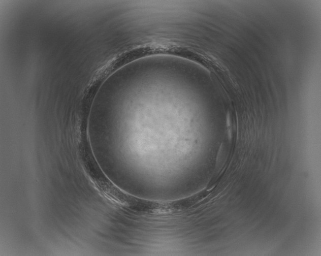 X0000052640496200507011350