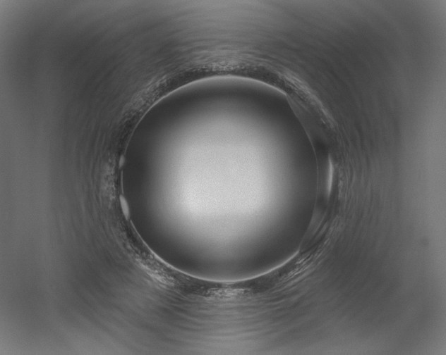 X0000052640497200507011350