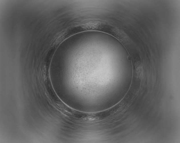 X0000052640498200507011350