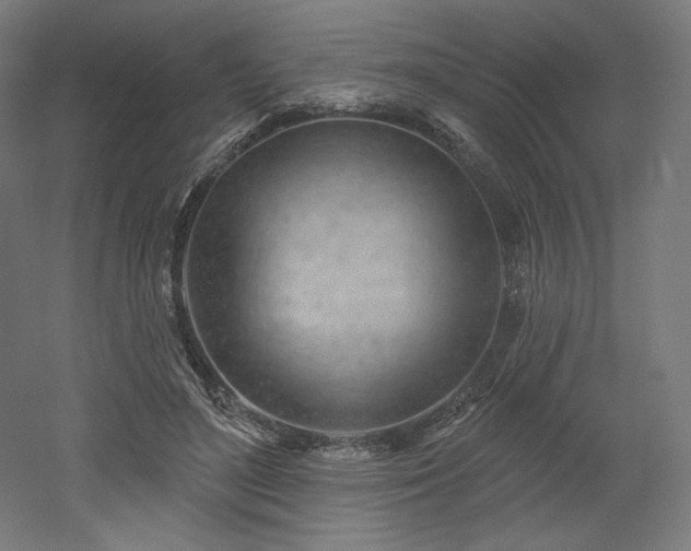 X0000052640500200507011350