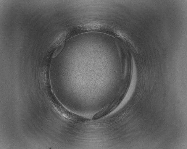 X0000052640501200507011350