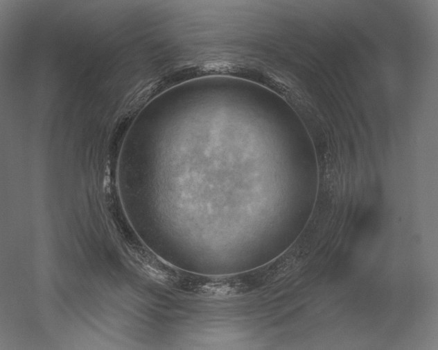 X0000052640502200507011350