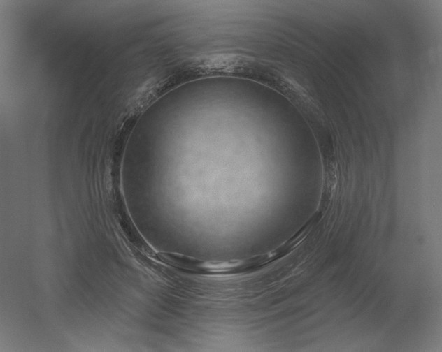 X0000052640504200507011350