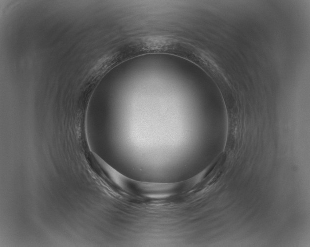 X0000052640505200507011350