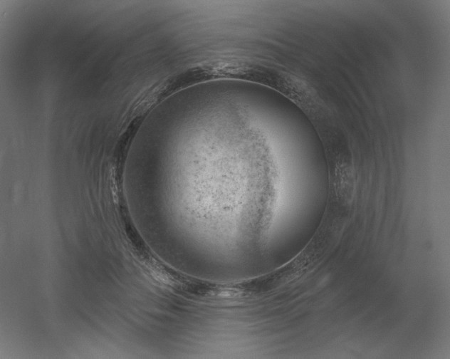 X0000052640506200507011350