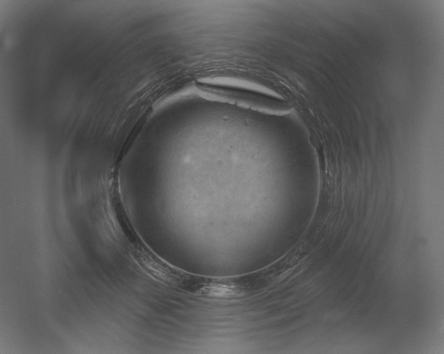 X0000052640507200507011350