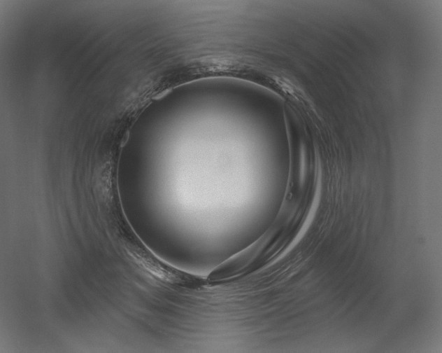 X0000052640509200507011350