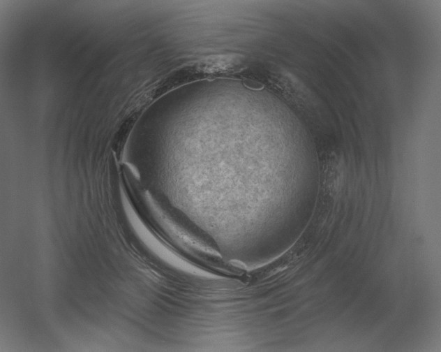 X0000052640510200507011350