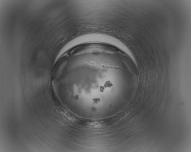 X0000052640511200507011350