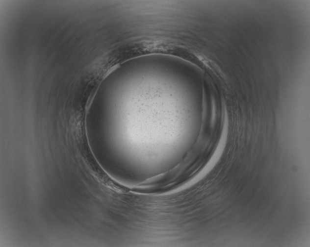 X0000052640513200507011350