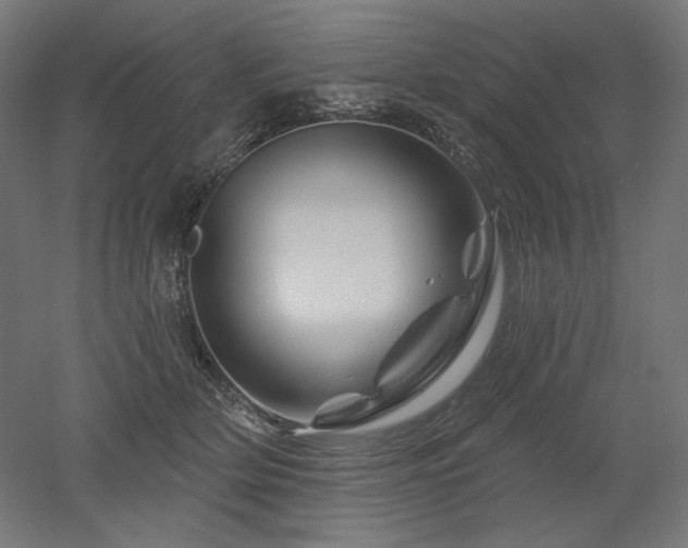 X0000052640514200507011350