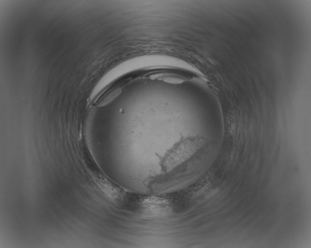 X0000052640515200507011350