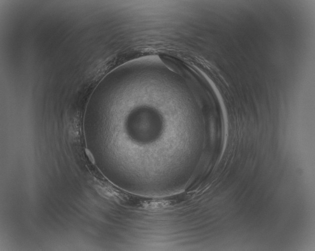 X0000052640517200507011350