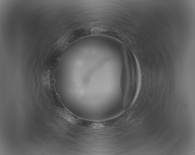 X0000052640519200507011349