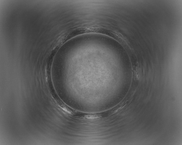 X0000052640520200507011349