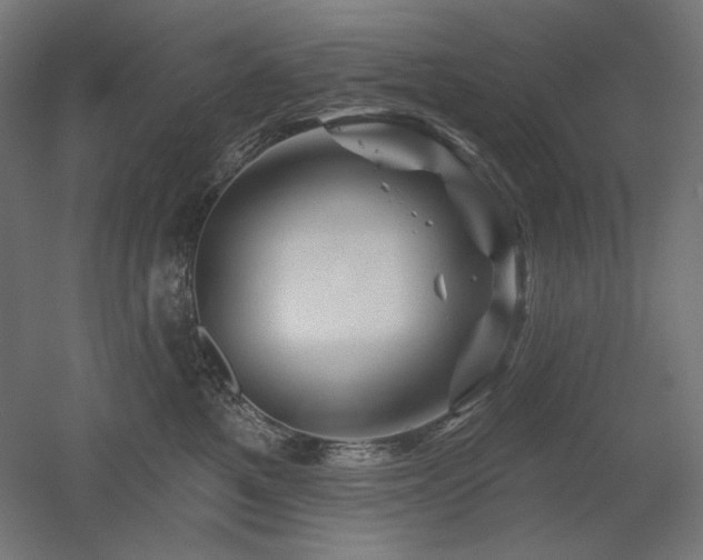 X0000052640521200507011349