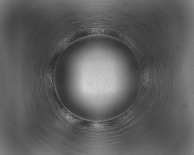 X0000052640522200507011349