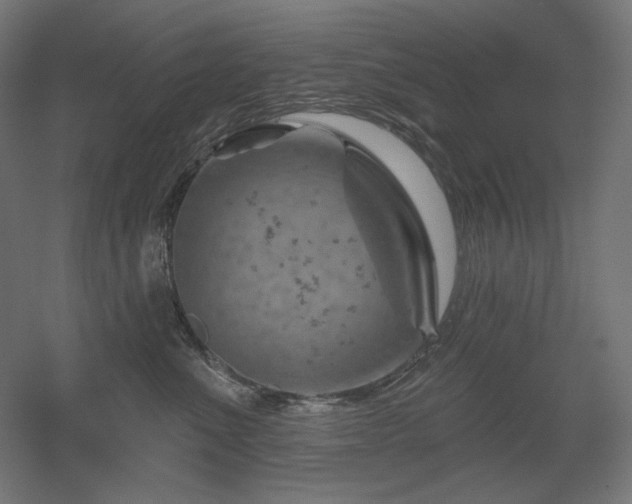 X0000052640523200507011349