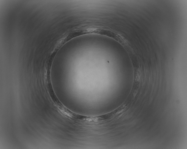 X0000052640524200507011349