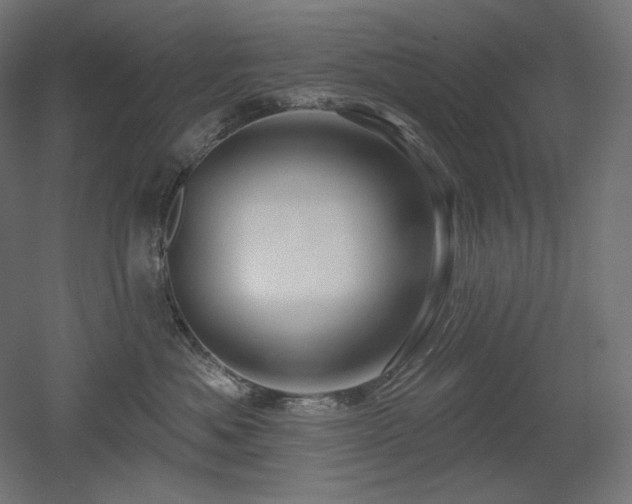 X0000052640525200507011349