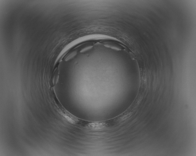 X0000052640526200507011349