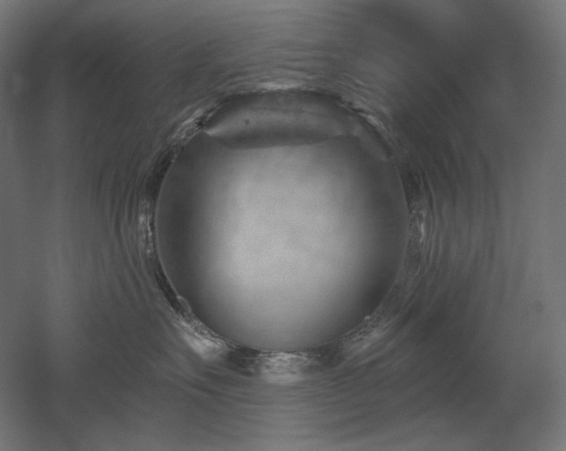 X0000052640527200507011349