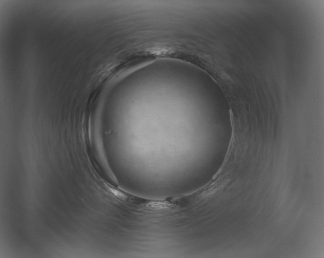 X0000052640528200507011349