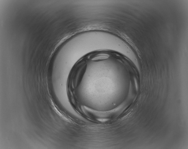 X0000052640530200507011349