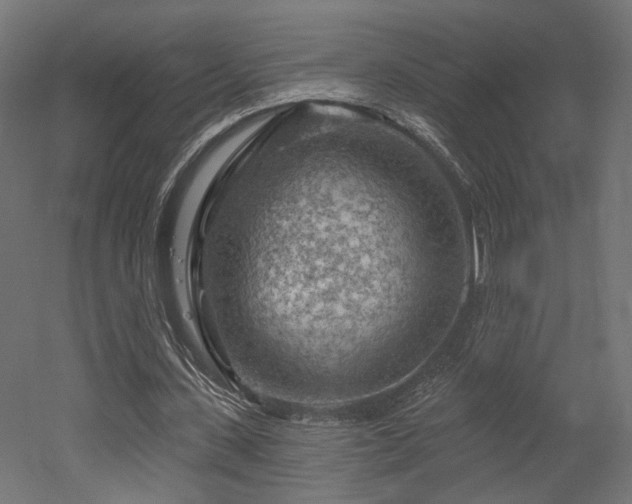 X0000052640531200507011349