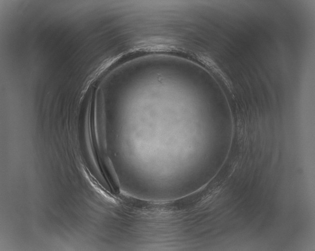 X0000052640533200507011349