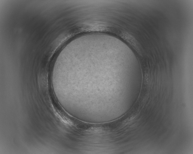 X0000052640534200507011349