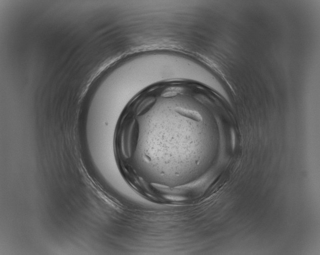 X0000052640535200507011349