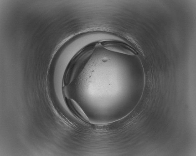 X0000052640536200507011349