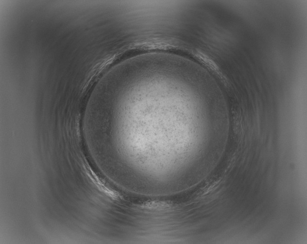 X0000052640537200507011349