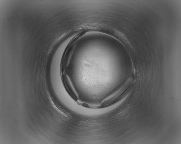 X0000052640538200507011349