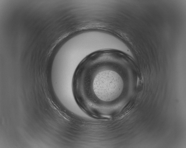 X0000052640539200507011349