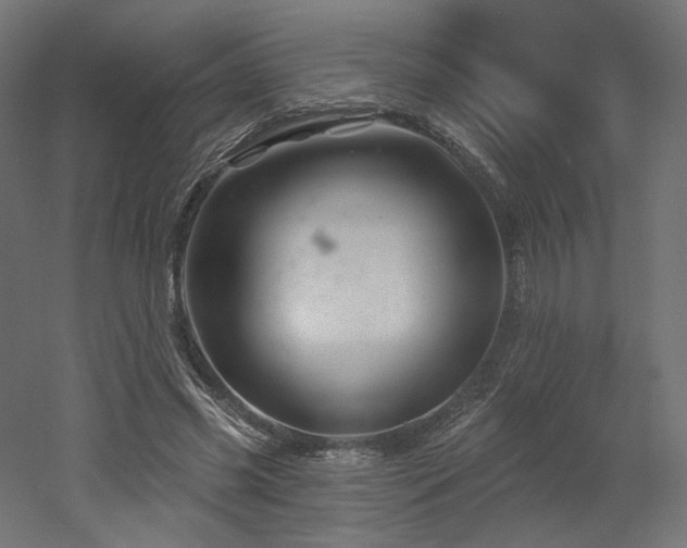 X0000052640541200507011349