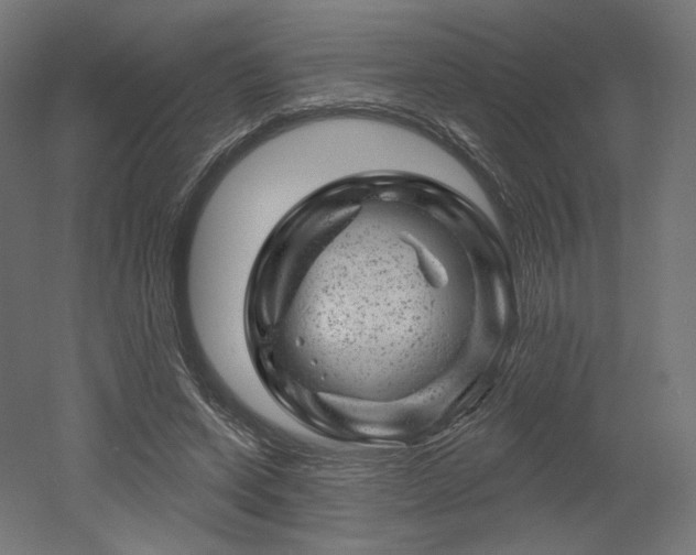 X0000052640543200507011349