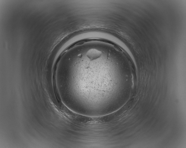 X0000052640544200507011349