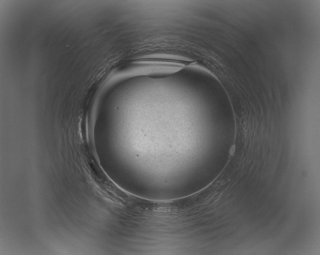 X0000052640546200507011349