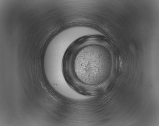 X0000052640547200507011349