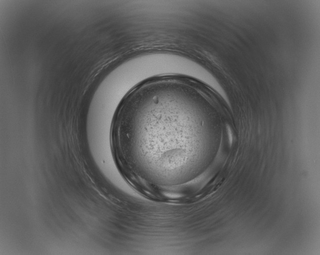 X0000052640548200507011349