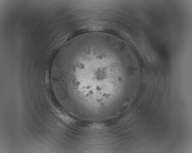 X0000052640549200507011349